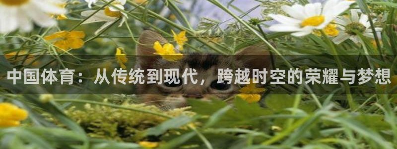 欧亿体育官方正版app官方:中国体育:从传统到现代,跨越时空