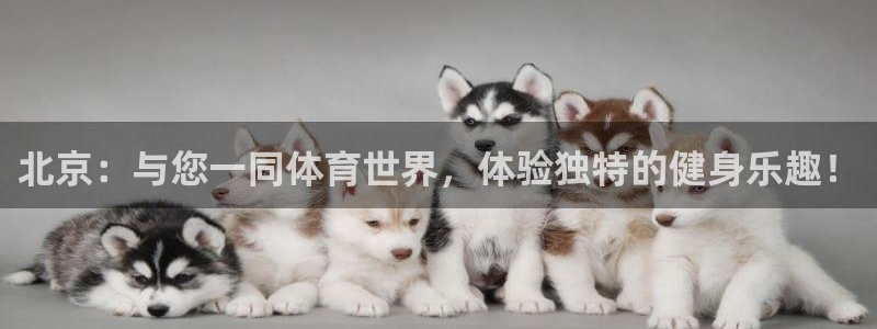 oety欧亿体育官网下载平台注册流程视频:北京:与您一同体育