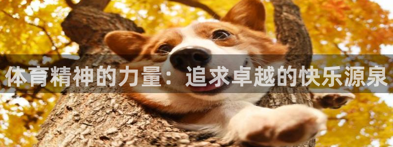 oety欧亿体育官网下载平台注册要钱吗:体育精神的力量:追求