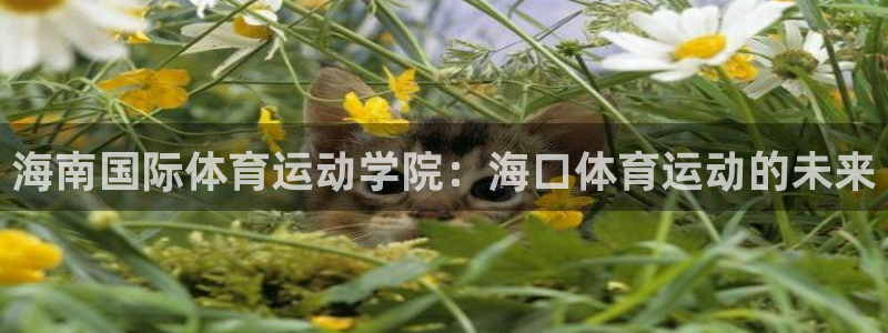 oety欧亿体育官网下载平台APP:海南国际体育运动学院:海