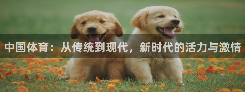 oety欧亿体育官网下载招商电话号码查询是多少:中国体育:从